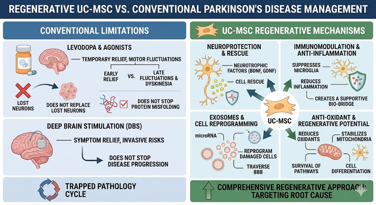 Figure 2: Comparison of Conventional and Regenerative Parkinson’s Disease Therapy