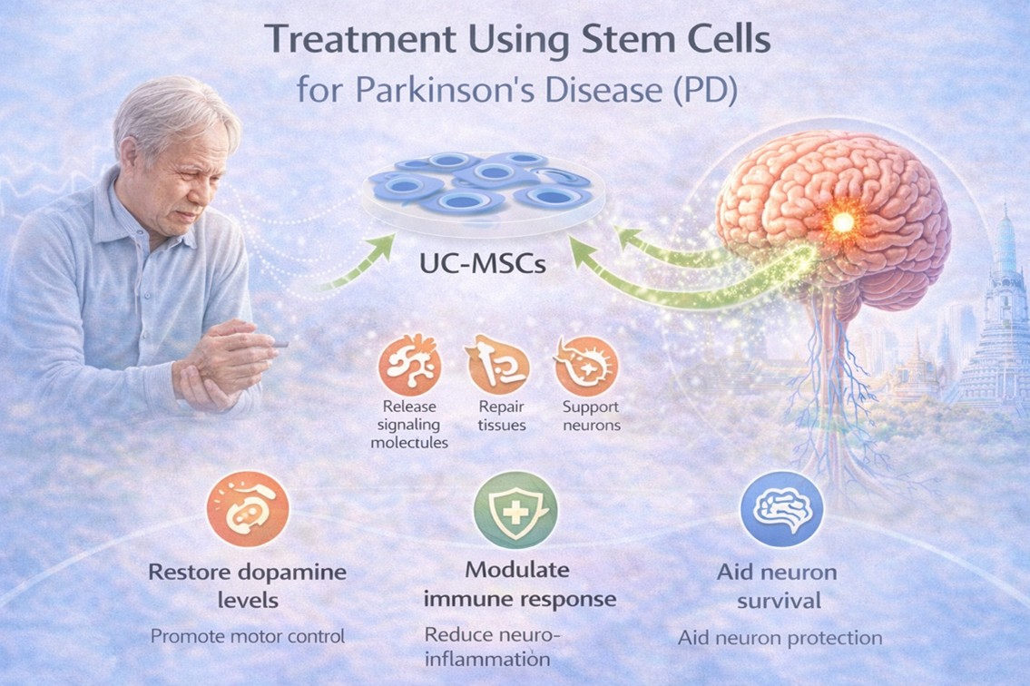Figure A: Treatment Using Stem Cells for Parkinson's Disease (PD)