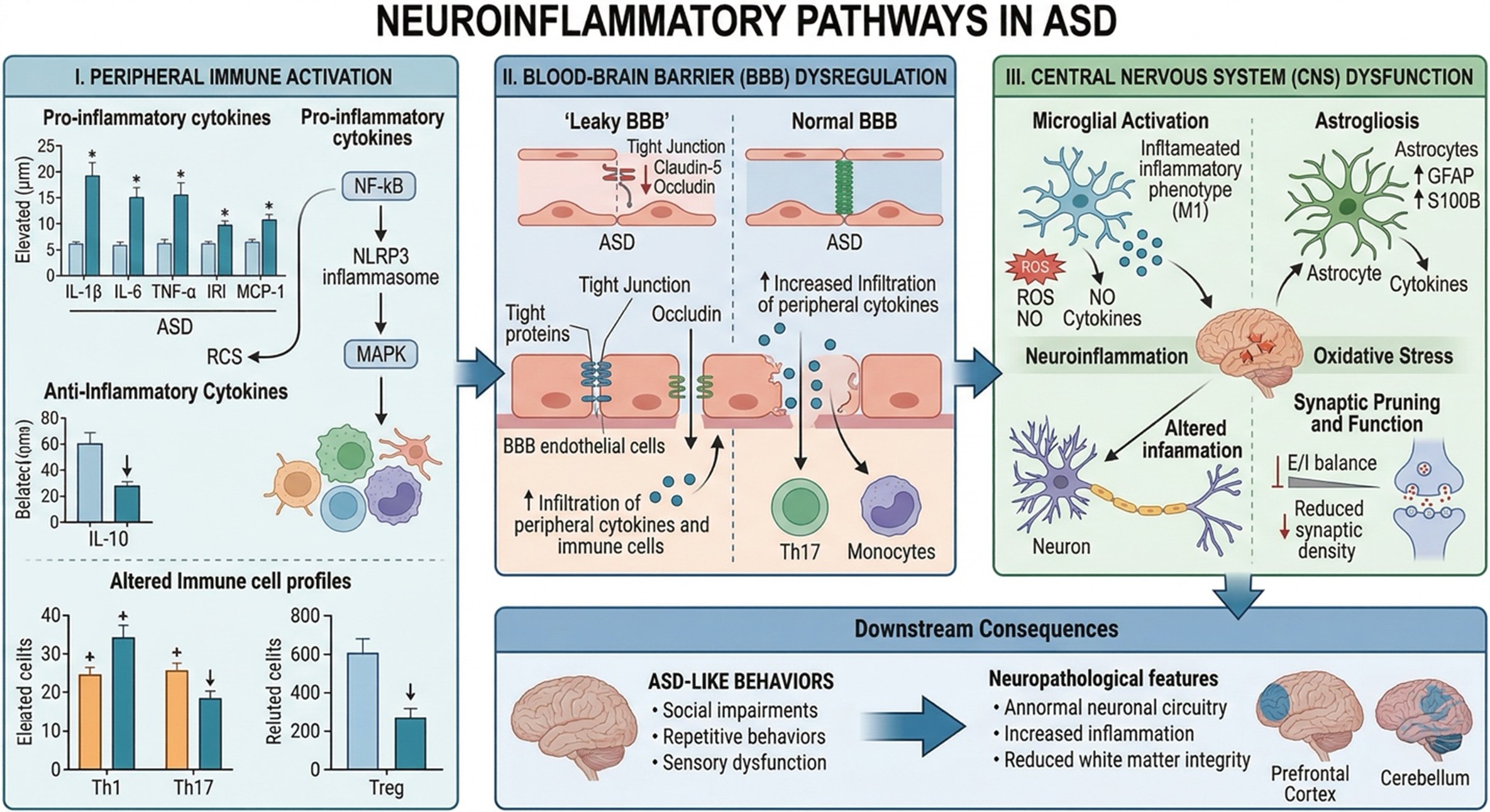 Figure A: This scientific diagram illustrates the Neuroinflammatory Pathways in Autism Spectrum Disorder (ASD), detailing the cascade from peripheral immune responses to behavioral outcomes.