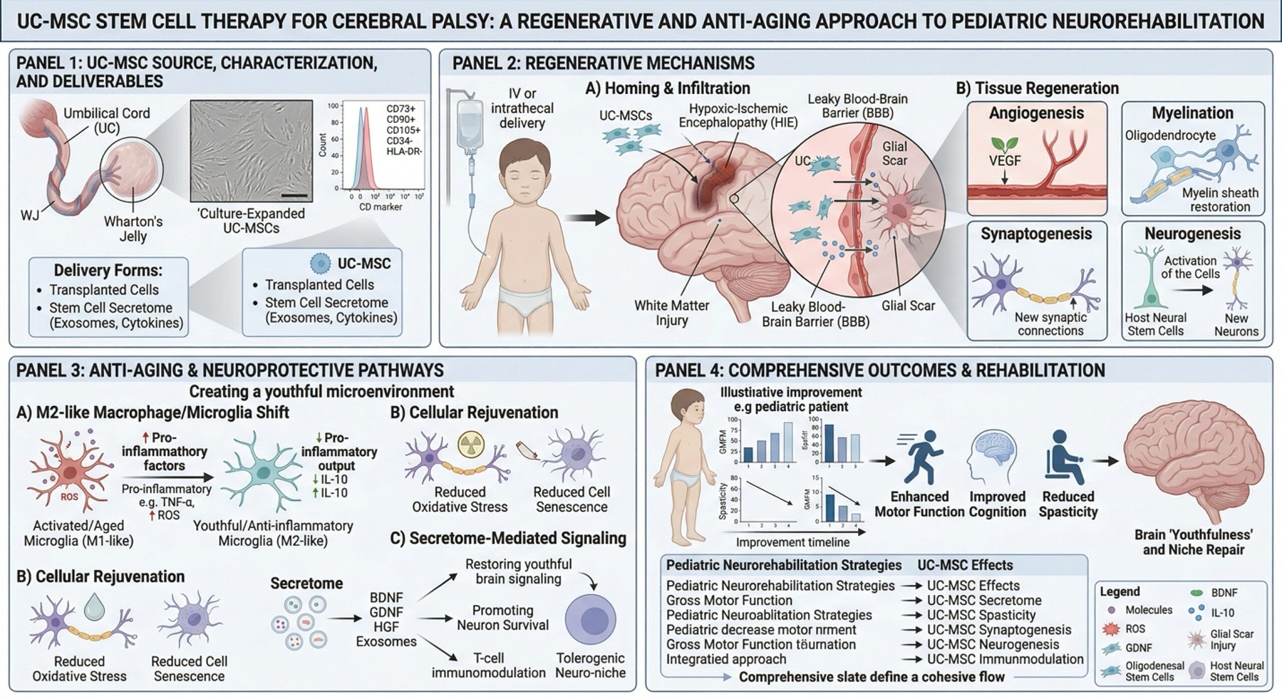 Figure 1: Therapeutic Mechanisms of UC-MSCs in Pediatric Neurorehabilitation for Cerebral PalsyThis multi-panel diagram illustrates the regenerative, neuroprotective, and "anti-aging" pathways of UC-MSC therapy in treating Cerebral Palsy (CP).