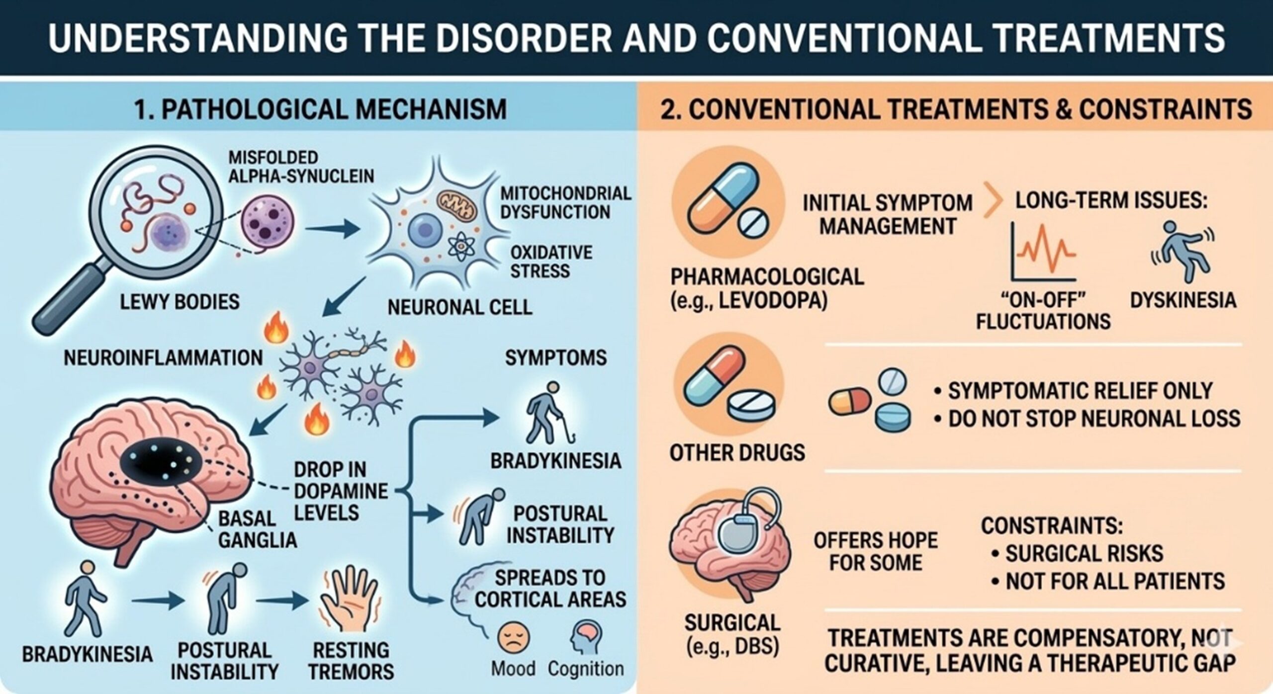 Figure 1: The Pathology and Conventional Treatment of Parkinson’s Disease
