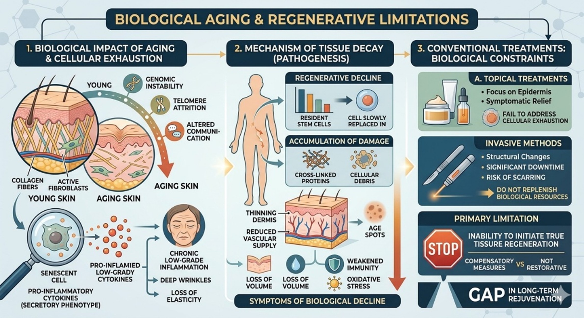 Figure 1: The Biological and Limitations of Conventional Facial Aging Treatments
