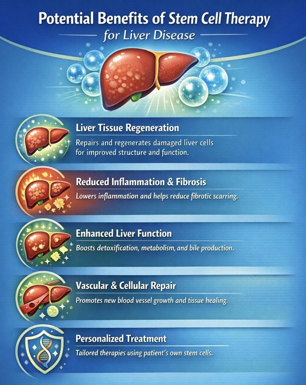 Figure A : Stem cell therapy may regenerate liver tissue, reduce inflammation and fibrosis, improve function, support vascular repair, and enable personalized treatments for better outcomes.
