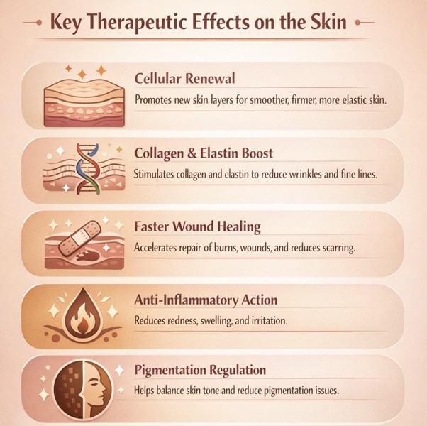 Figure A : Stem cells applied to skin promote renewal, boost collagen and elastin, speed wound healing, reduce inflammation, and help regulate pigmentation, improving overall skin texture, tone, resilience, and youthful appearance.