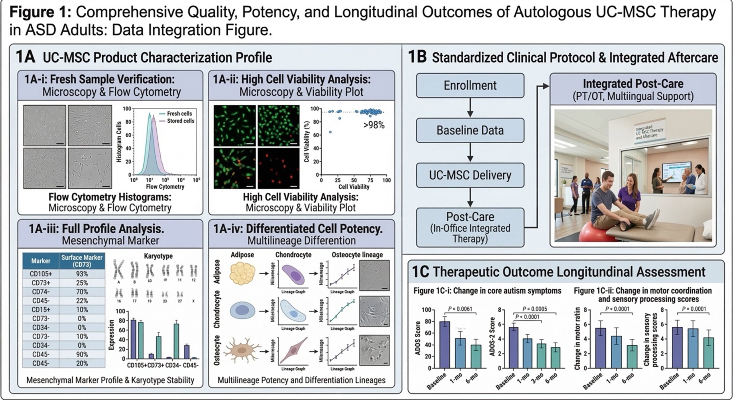 Figure 2: Standardized Quality Control and Integrated Clinical Protocol for UC-MSC Therapy. (1A) Comprehensive UC-MSC characterization, including viability analysis, surface marker profiling, and multilineage potency. (1B) Standardized clinical workflow emphasizing the integration of stem cell delivery with specialized aftercare (PT/OT). (1C) Longitudinal assessment of therapeutic outcomes, showing significant improvements in core autism symptoms (ADOS scores) and motor-sensory processing over a 6-month period.