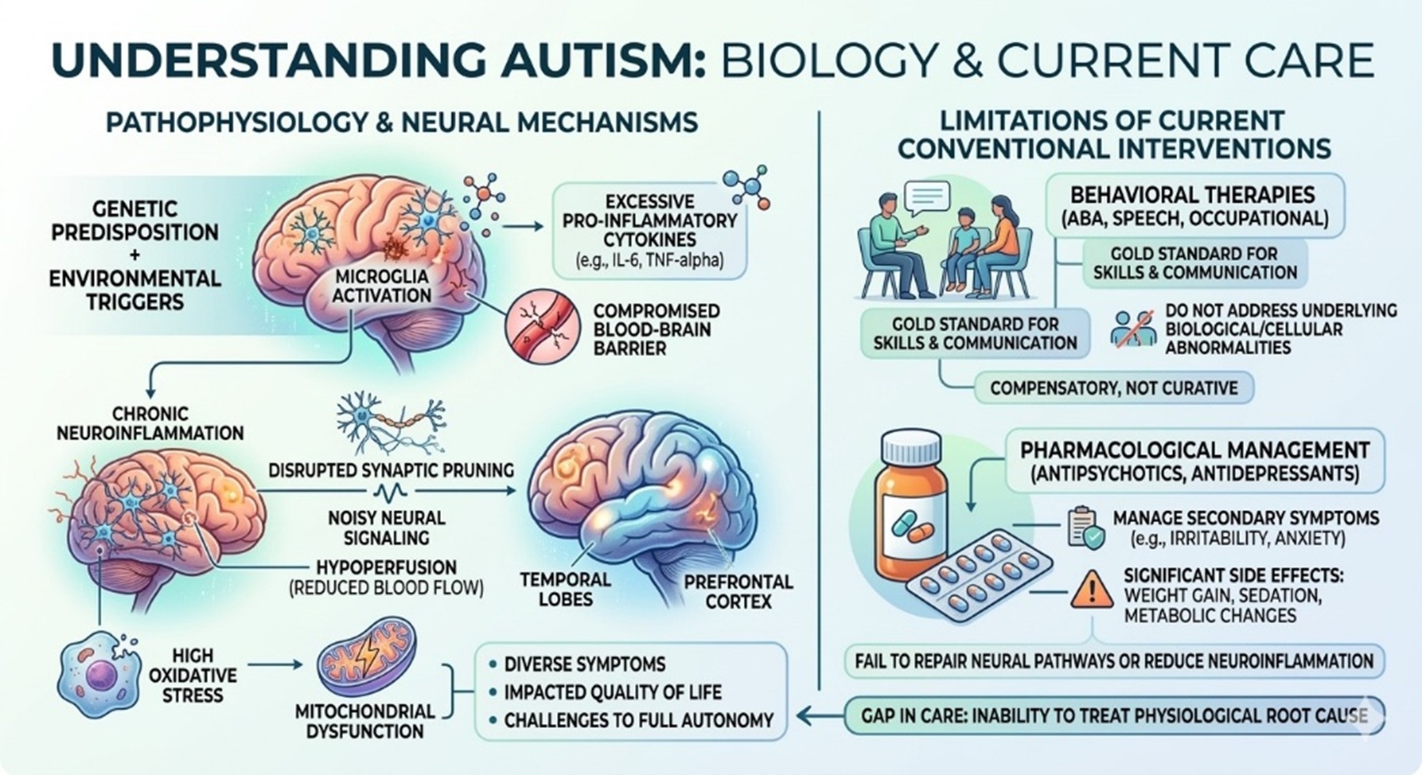 Figure 1: Understanding Biology and Current Care of Autism