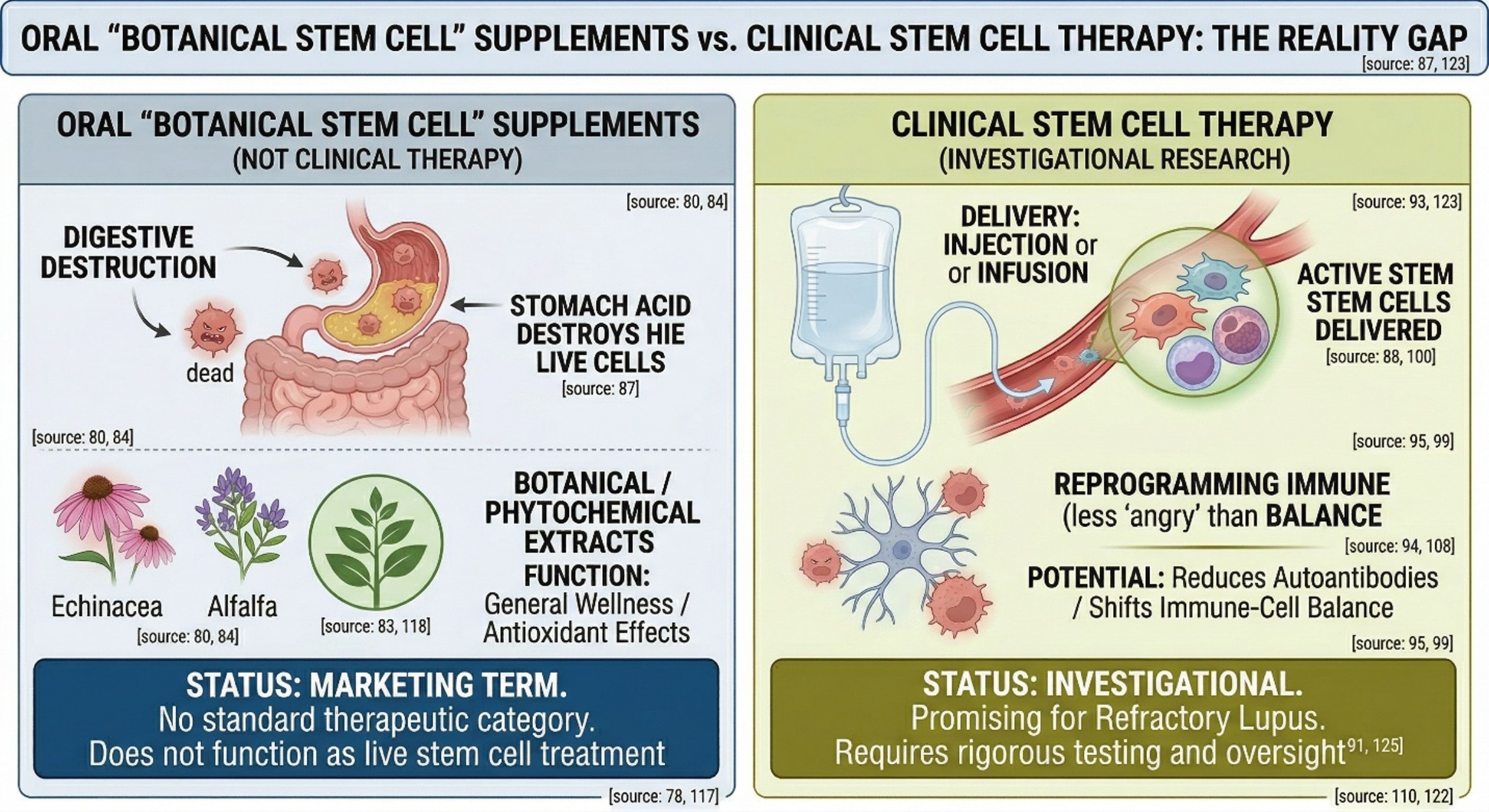 Where injection of stem cells enters the lupus literature