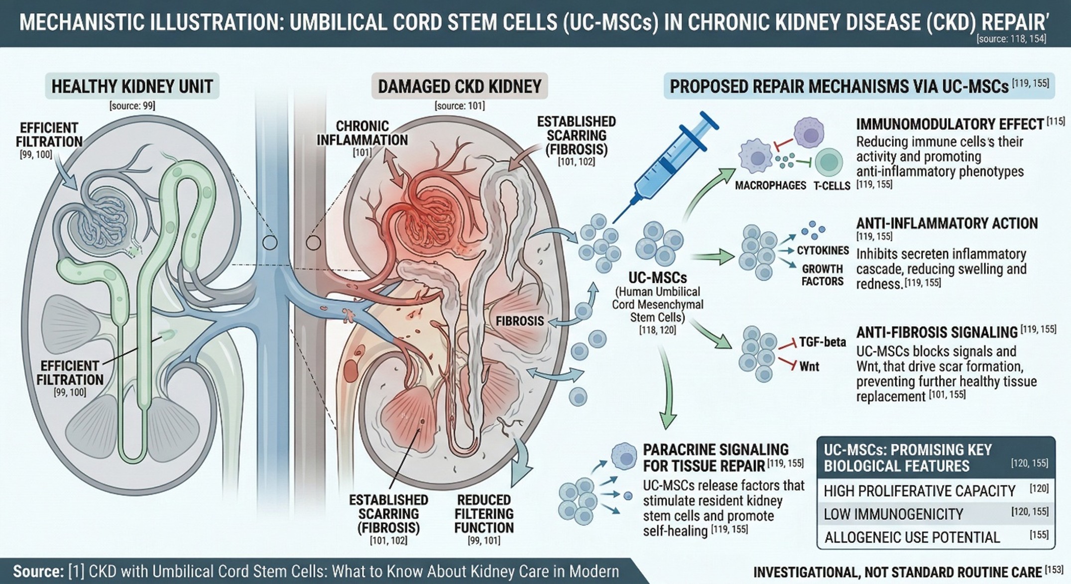 What a Stem Cell Clinic Should Help a CKD Patient Understand