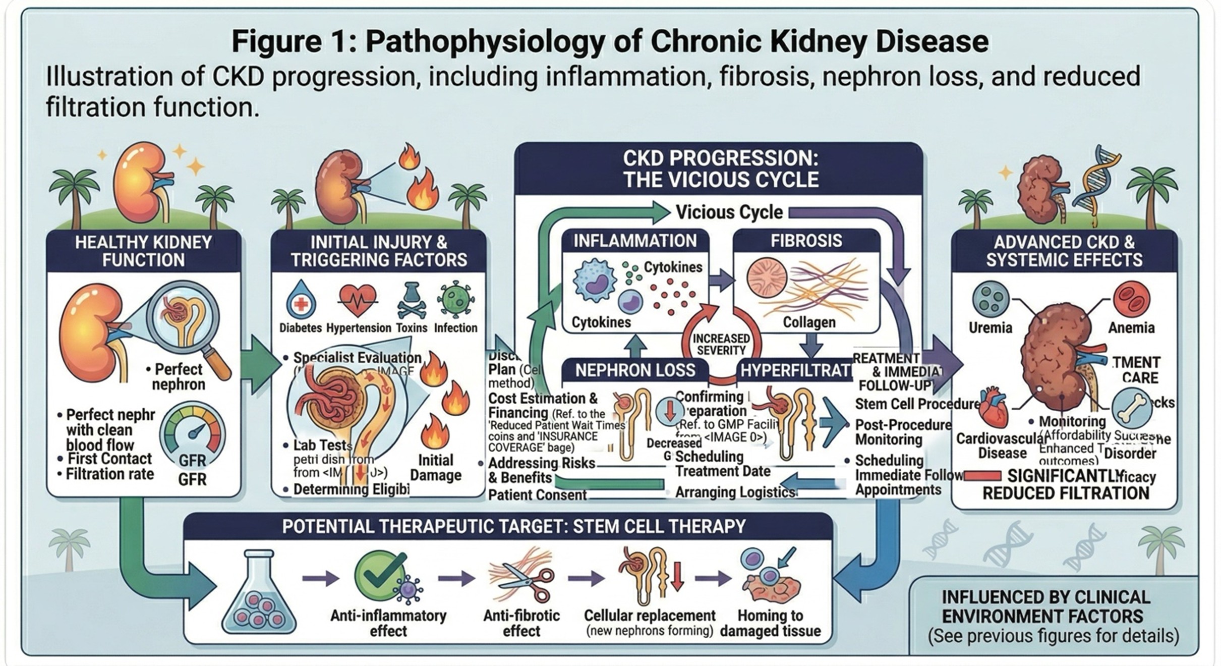 Figure 1: Pathophysiology of Chronic Kidney DiseaseIllustration of CKD progression, including inflammation, fibrosis, nephron loss, and reduced filtration function.