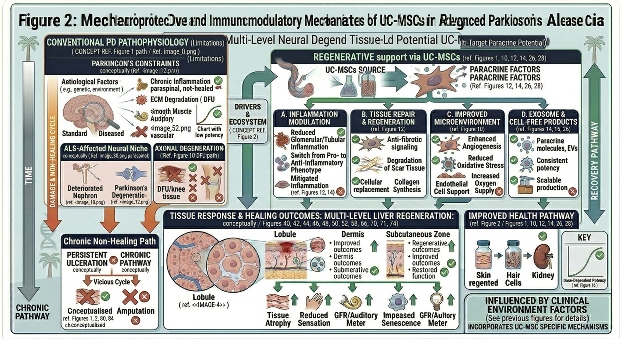 Figure 1: Pathophysiological Mechanisms Underlying Amyotrophic Lateral Sclerosis