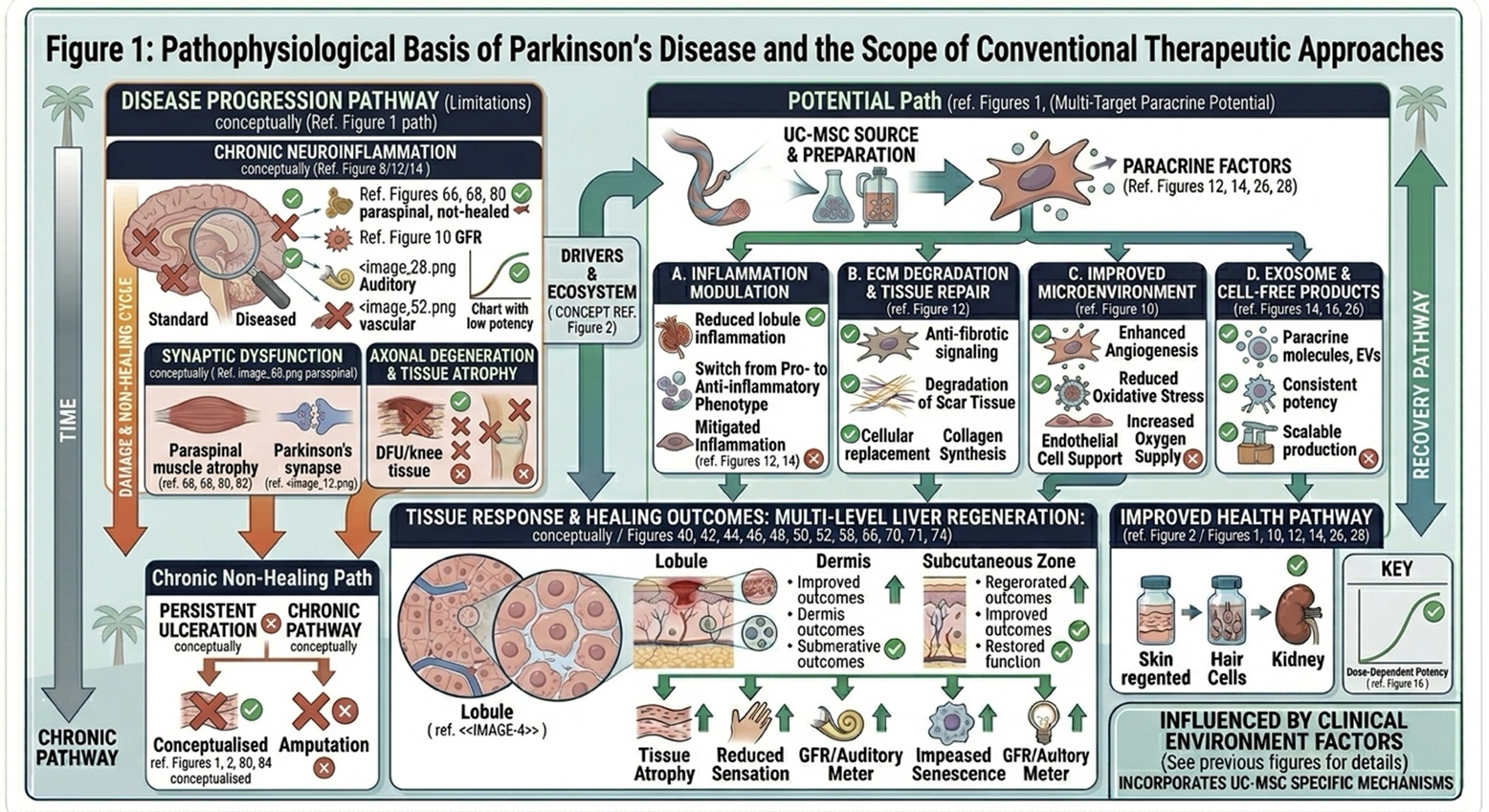 Figure 1: Pathophysiological Basis of Parkinson’s Disease and the Scope of Conventional Therapeutic Approaches