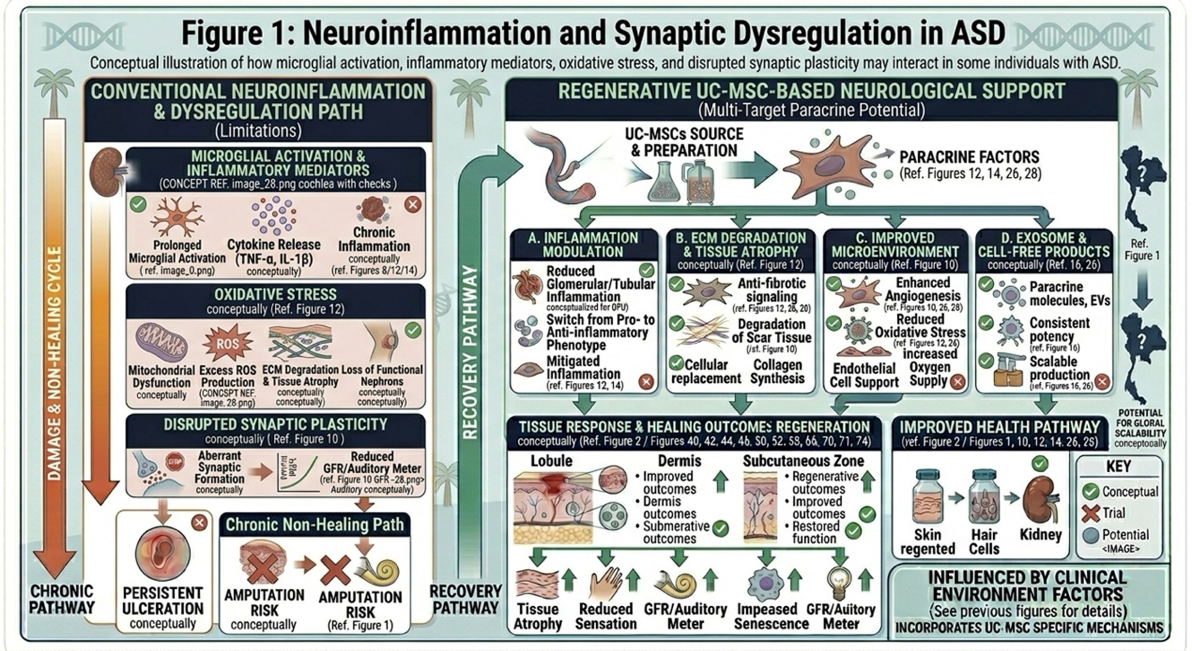 Figure 1: Neuroinflammation and Synaptic Dysregulation in ASDConceptual illustration of how microglial activation, inflammatory mediators, oxidative stress, and disrupted synaptic plasticity may interact in some individuals with ASD.