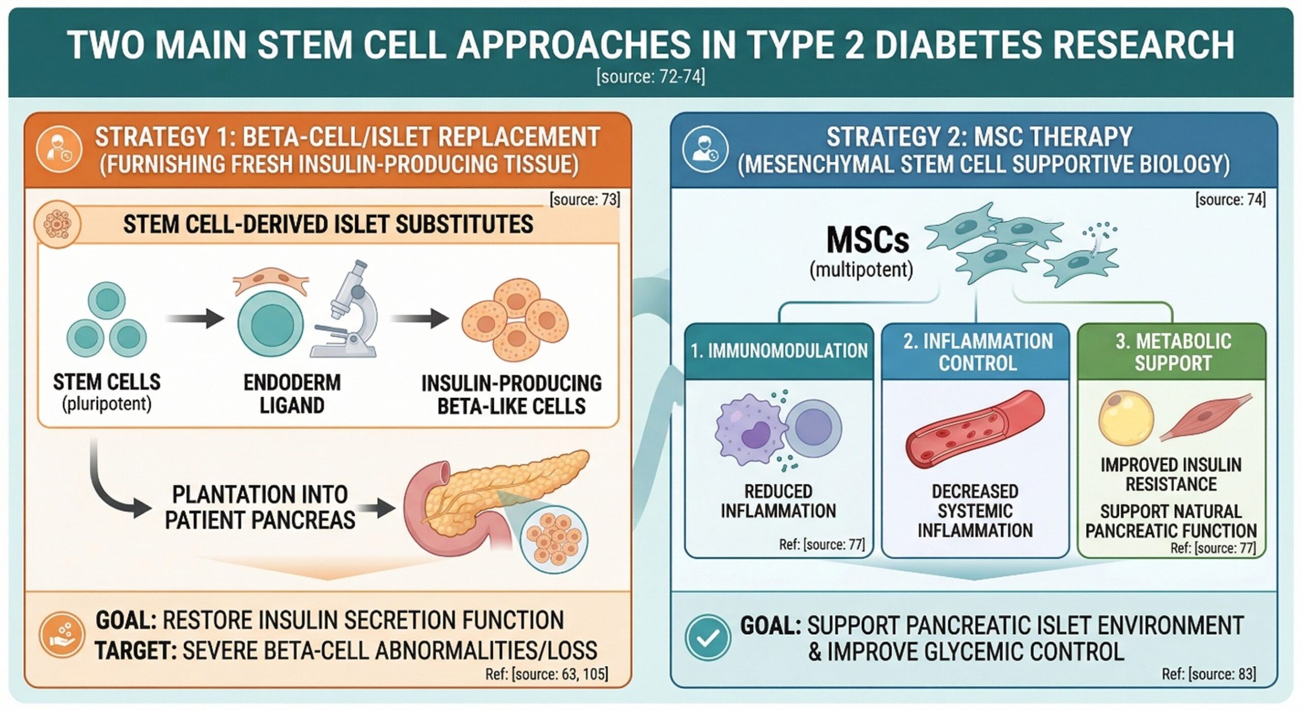 What the Papers Say About Stem Cell Research for Diabetes Type 2