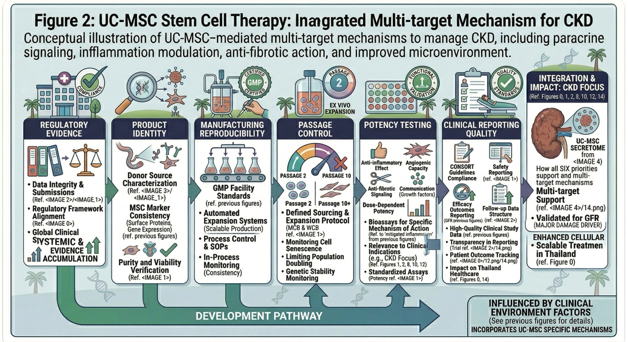 Figure 2. Present-day priorities in MSC development: regulatory evidence, product identity, manufacturing reproducibility, passage control, potency testing, and clinical reporting quality.