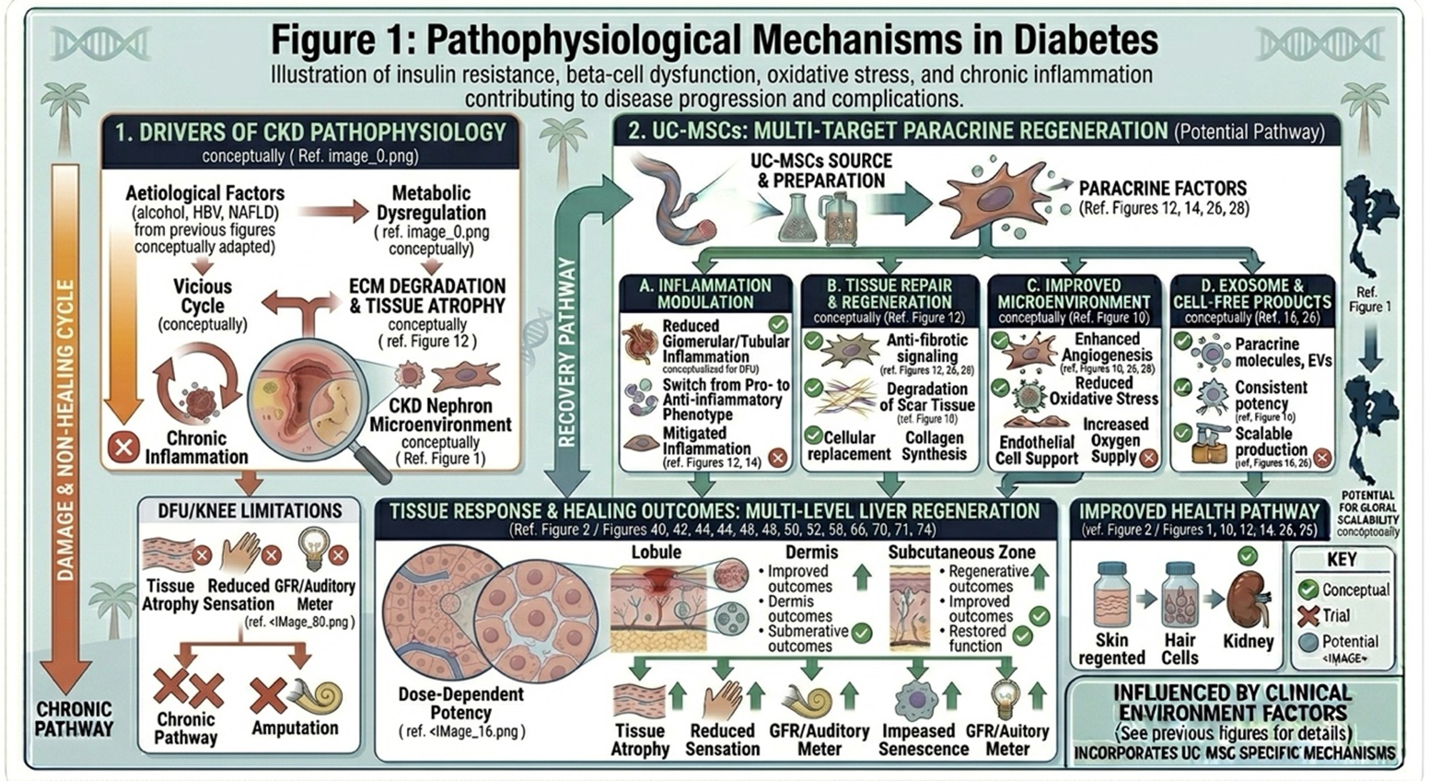 Figure 1: Pathophysiological Mechanisms in DiabetesIllustration of insulin resistance, beta-cell dysfunction, oxidative stress, and chronic inflammation contributing to disease progression and complications.