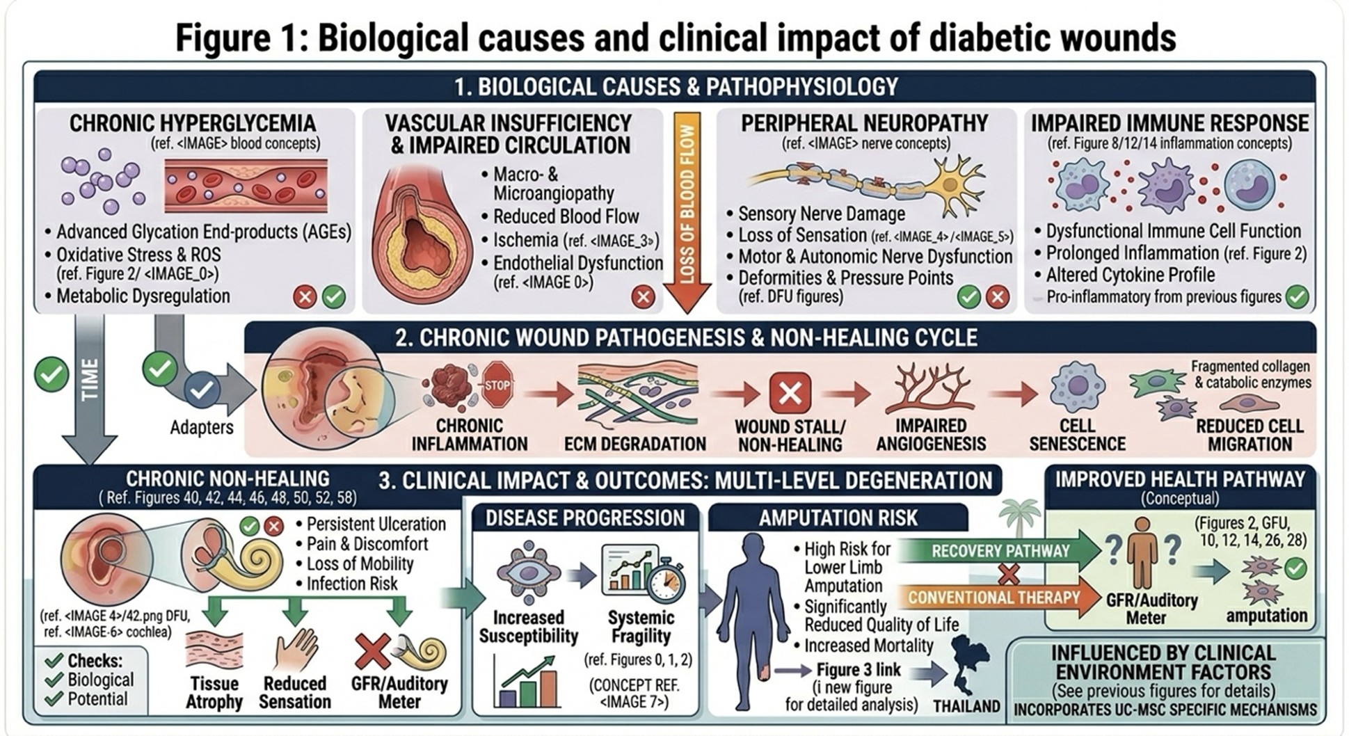 Figure 1: Biological causes and clinical impact of diabetic wounds