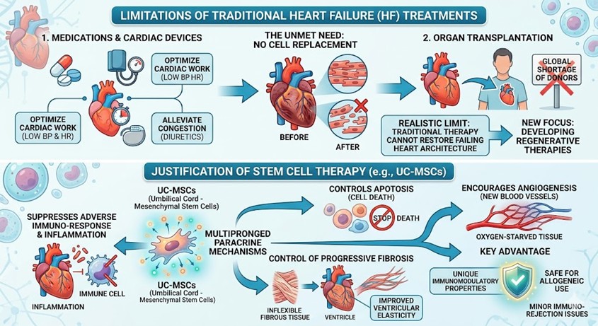 Figure 2: Limitations of Traditional Treatments and Justification of Cell Therapy