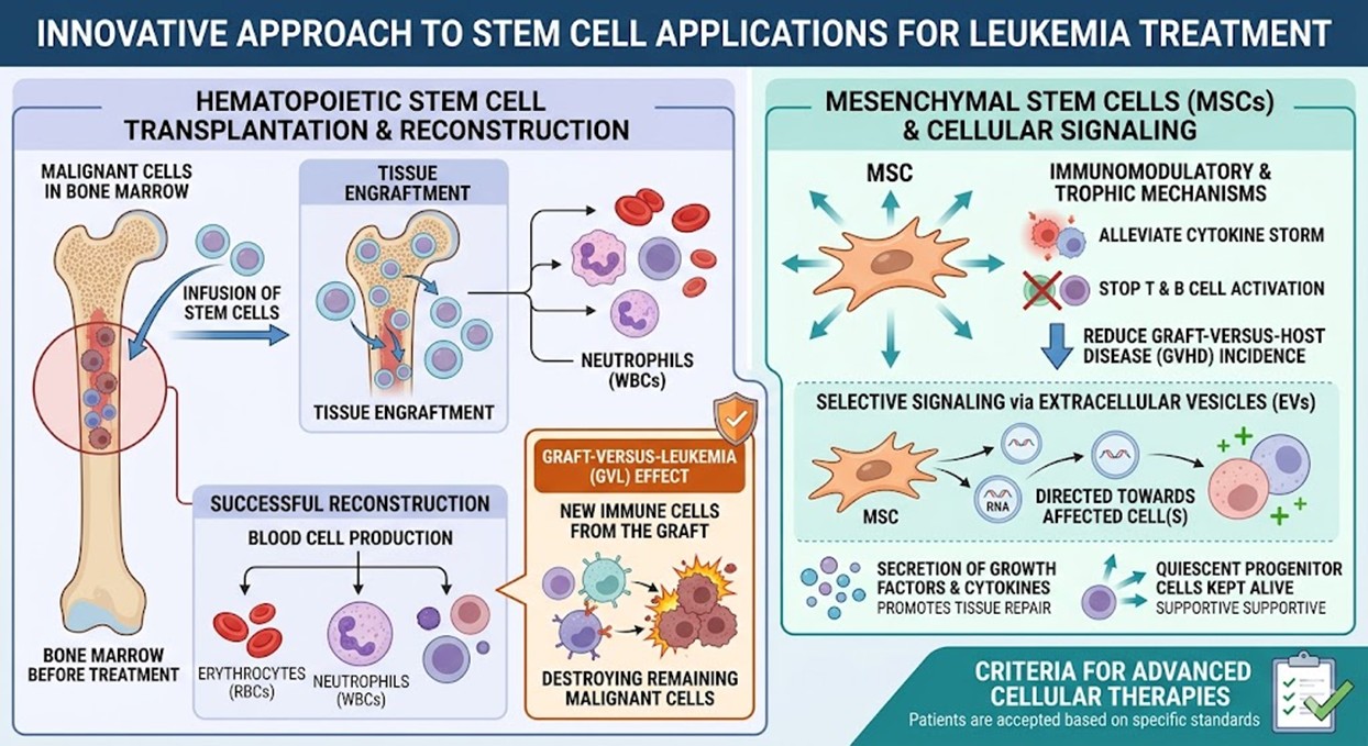 Figure 2: Innovative Approach to Stem Cell Applications for Leukemia Treatment