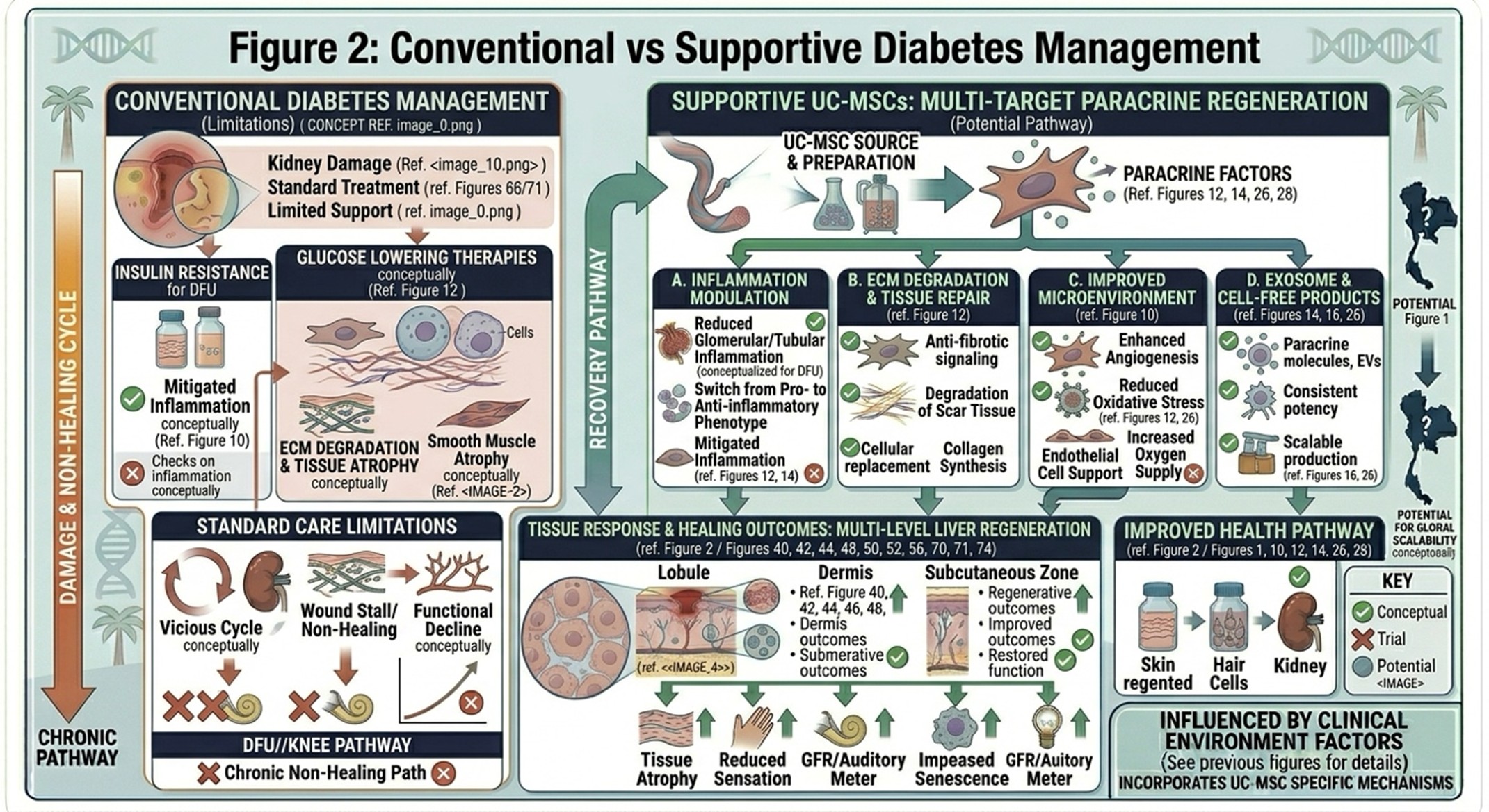Figure 2: Conventional vs Supportive Diabetes ManagementComparison between standard glucose-lowering therapies and adjunctive strategies targeting inflammation, oxidative stress, and cellular function.