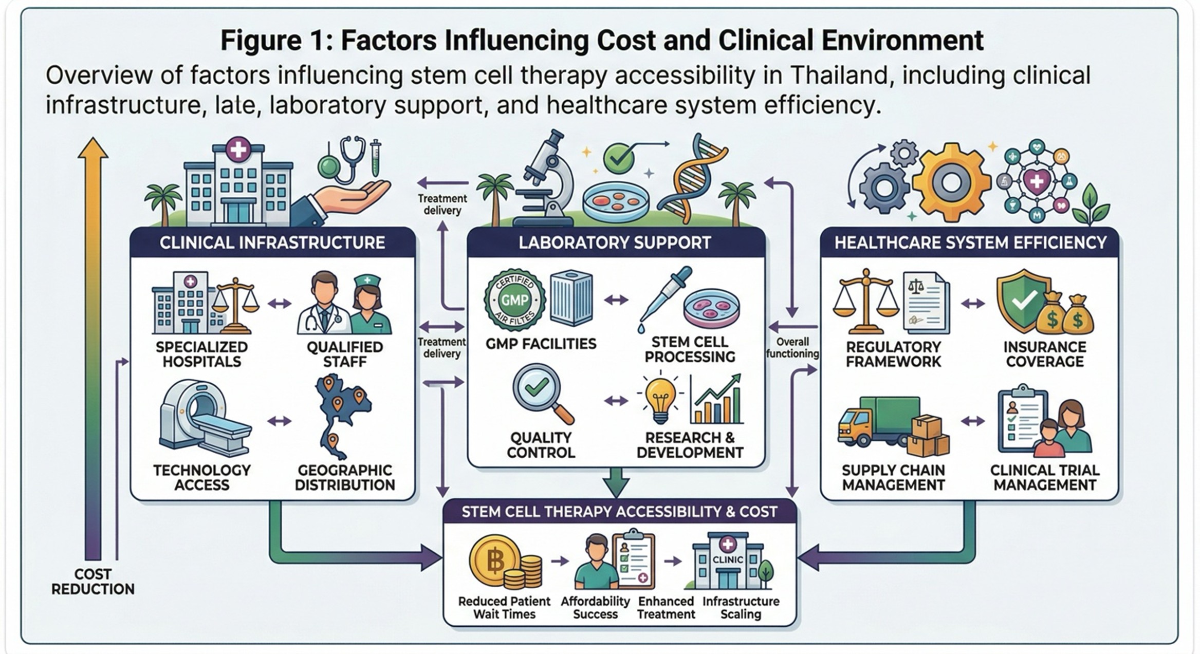 Figure 1: Factors Influencing Cost and Clinical EnvironmentOverview of factors influencing stem cell therapy accessibility in Thailand, including clinical infrastructure, laboratory support, and healthcare system efficiency.