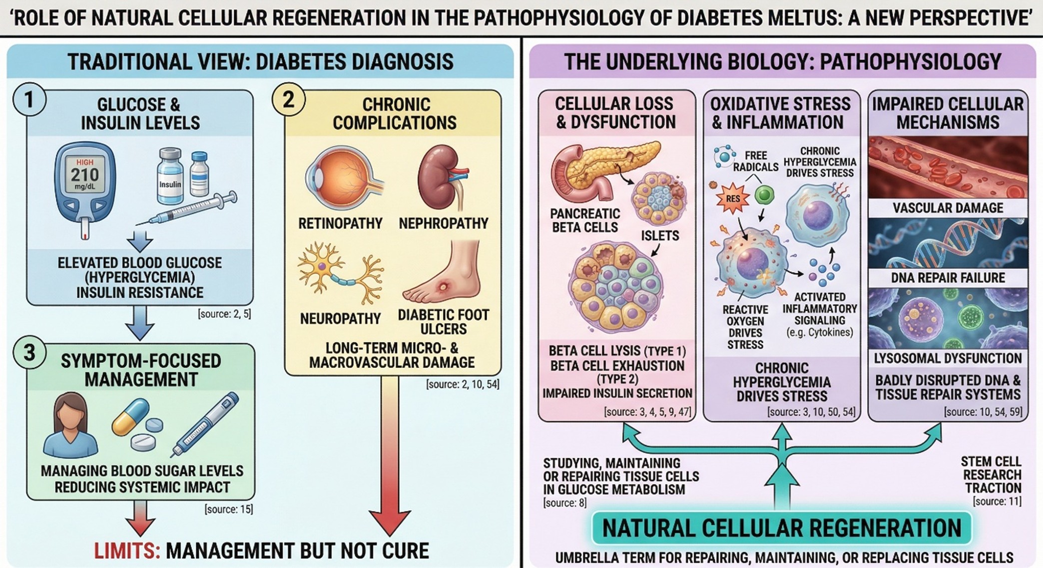 Natural Cellular Regeneration