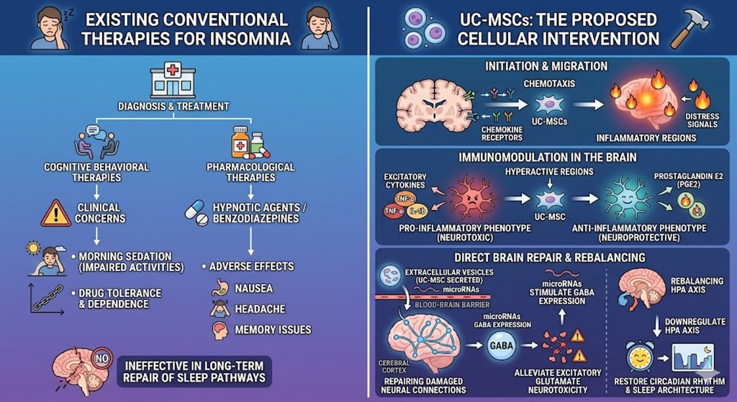 Figure 2: The Proposed Cellular Intervention's Biological Mechanisms