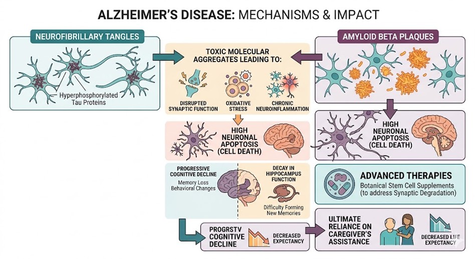 Figure 1: Mechanisms of Alzheimer’s disease