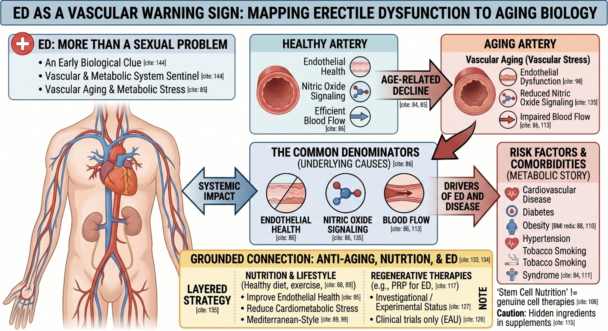 What “Anti-Aging Stem Cell Nutrition” should mean if we are being honest
