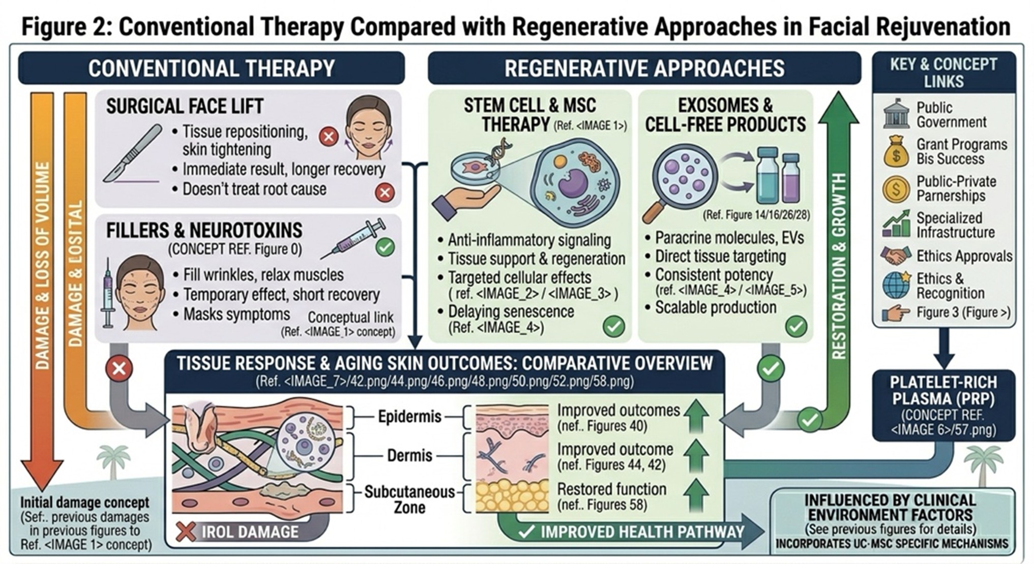 Figure 2: Conventional Therapy Compared with Regenerative Approaches in Facial Rejuvenation