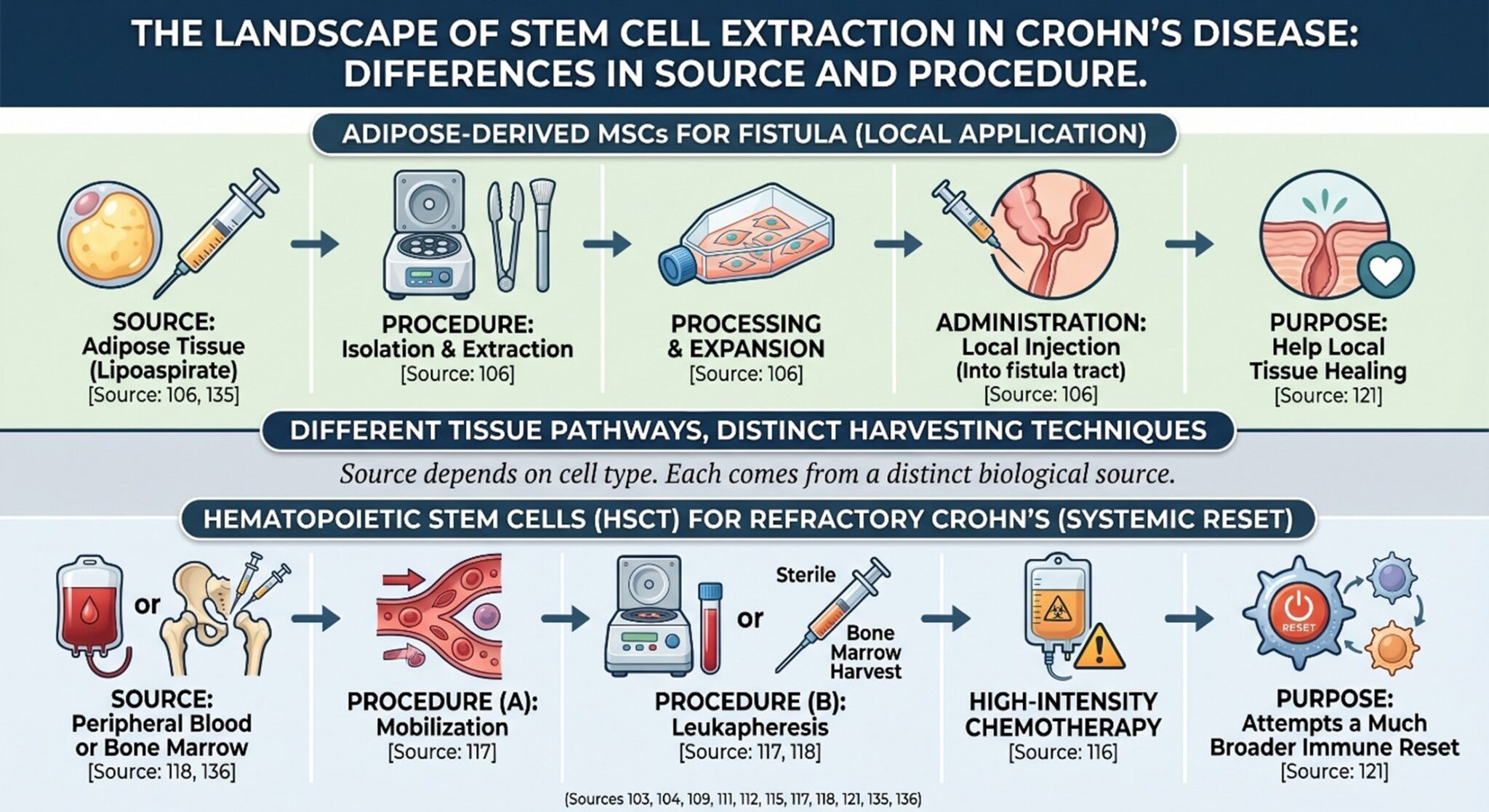 Natural Cellular Regeneration and Crohn’s Disease: What Stem Cell ...