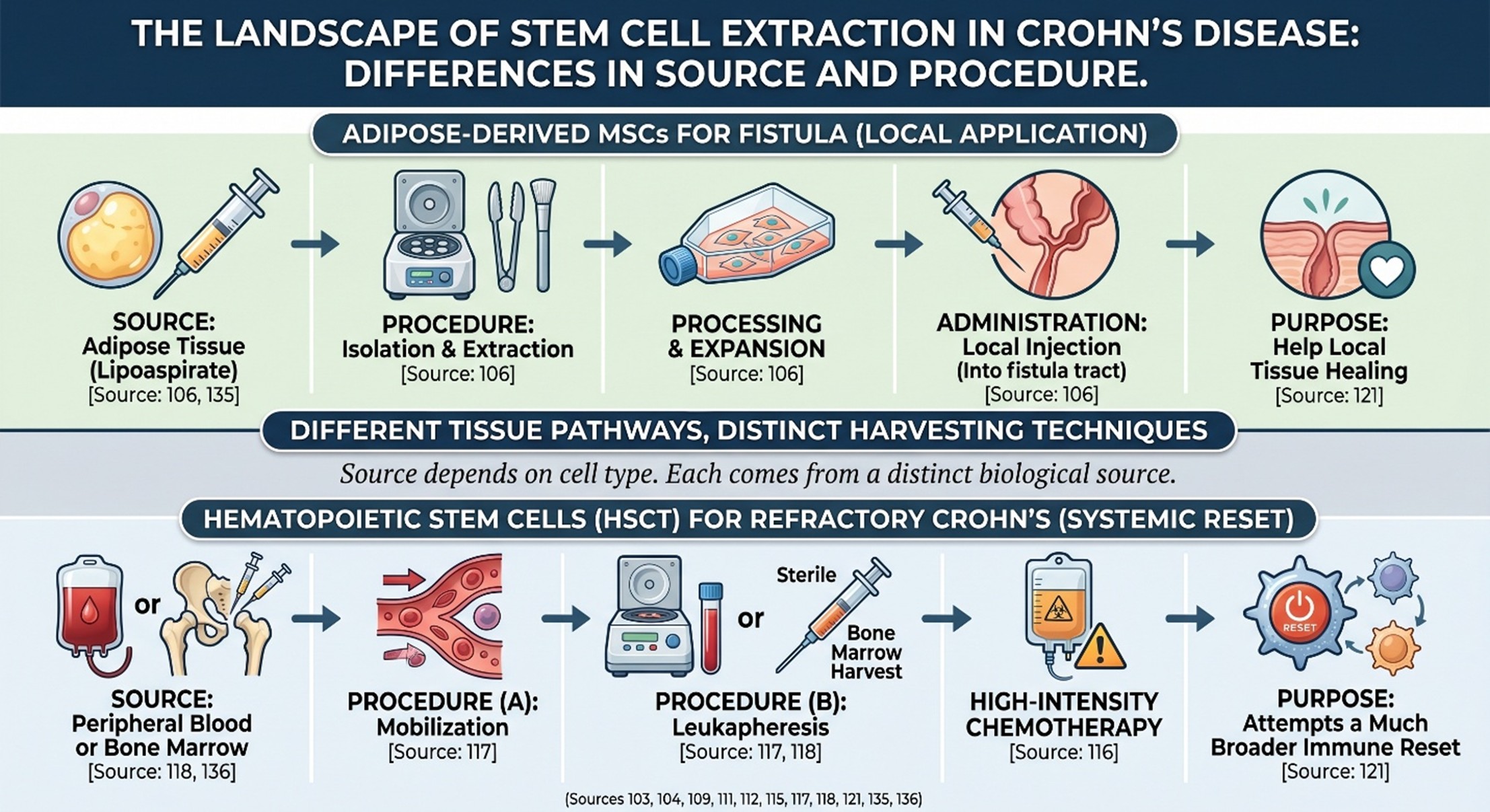 Where “stem cell extraction” actually fits