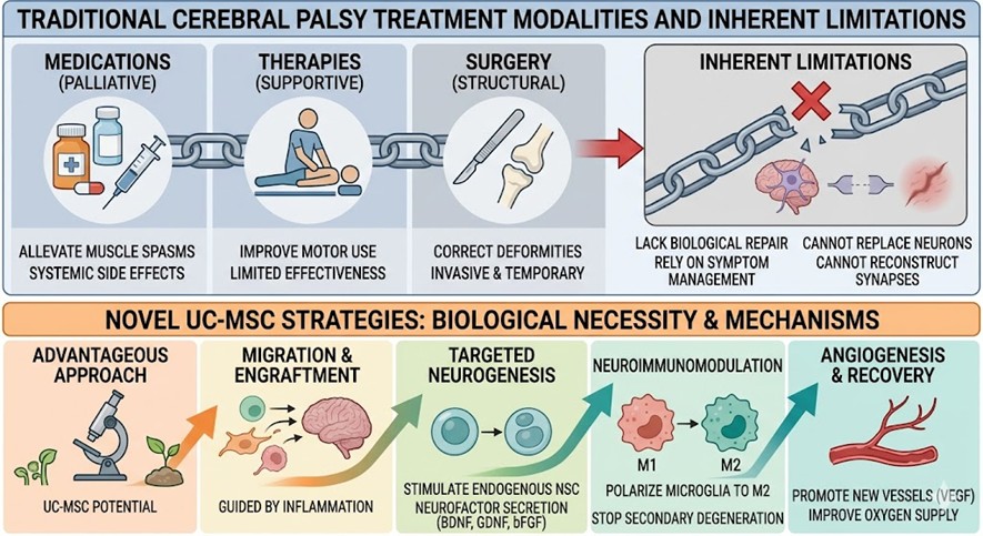 Figure 2: Biological Necessity and Mechanisms of Novel Strategies