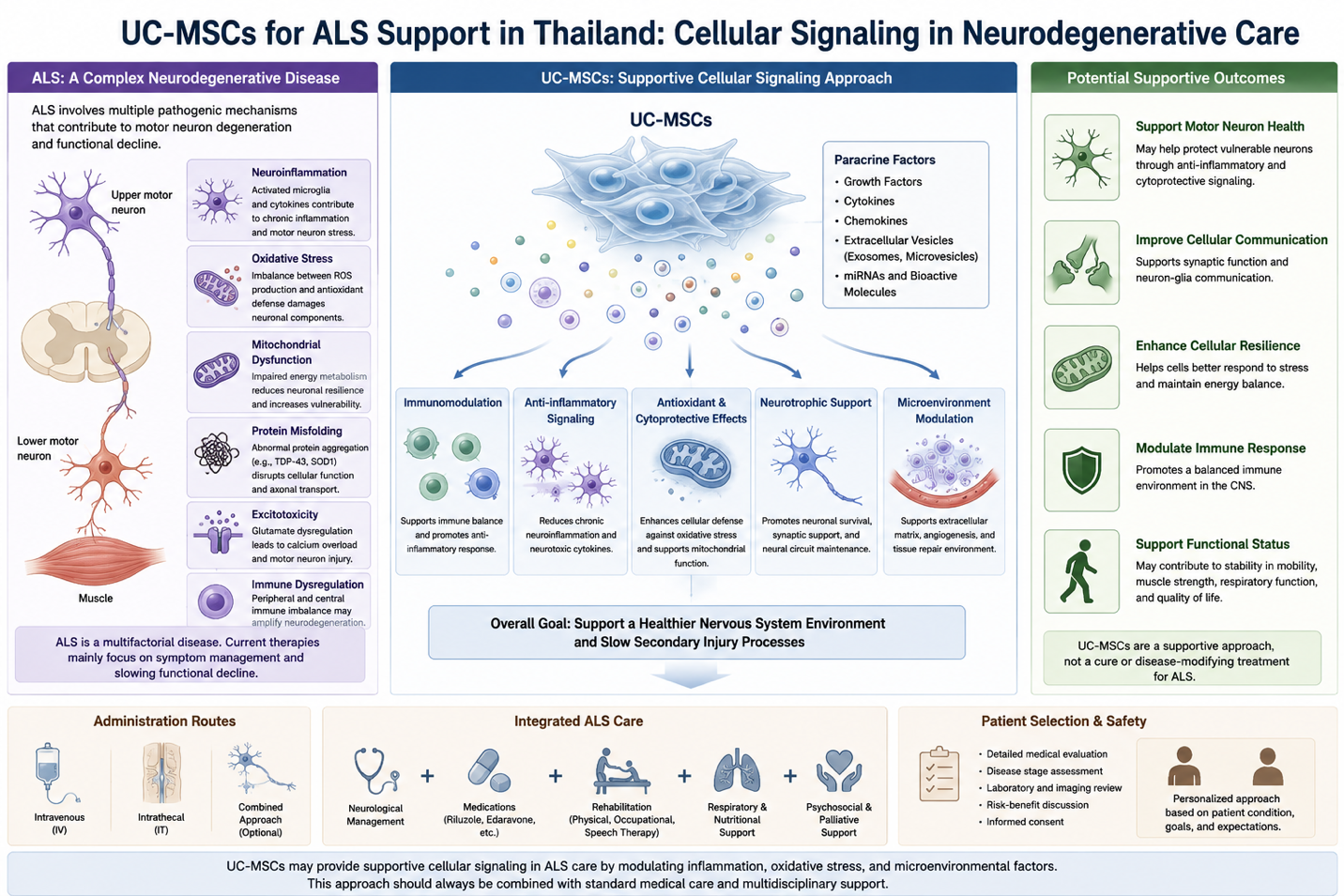 Figure 1: Supportive Role of UC-MSCs in Neuroinflammation and Motor Neuron Stress in ALS