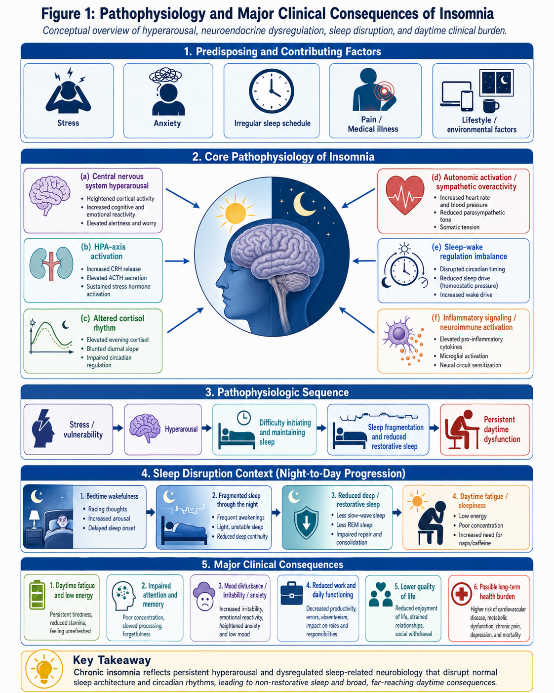 Figure 1: Pathophysiology and Major Clinical Consequences