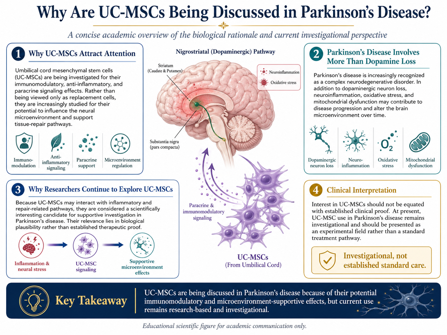 Figure 1: UC-MSCs in Parkinson’s Disease: Mechanistic Rationale and Investigational Perspective