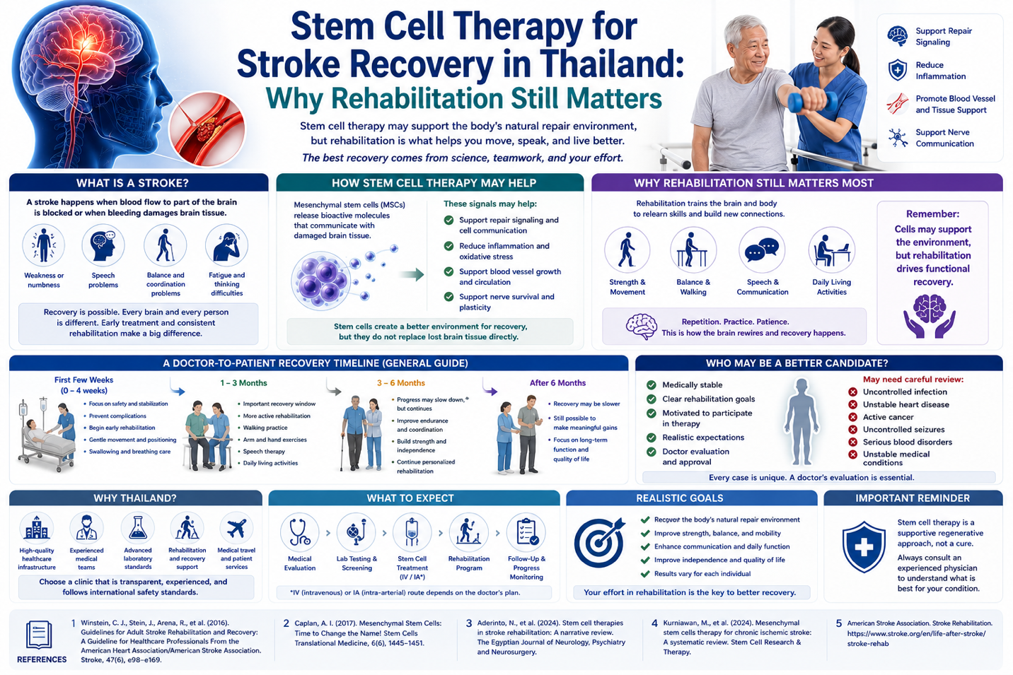 Figure 1: How Stem Cell Therapy May Support Stroke Recovery Through Cellular Signaling, Inflammation Balance, and Rehabilitation