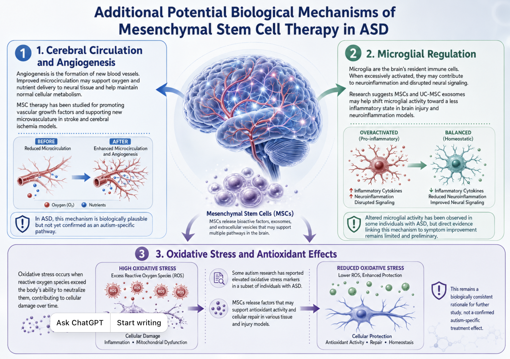 Figure 1: Additional Potential Biological Mechanisms of Mesenchymal Stem Cell Therapy in Autism Spectrum Disorder