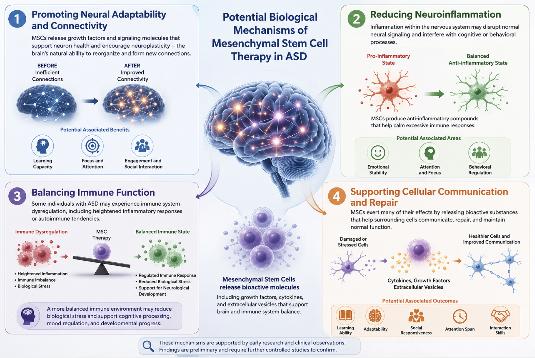 Figure 1: Potential Biological Mechanisms of Mesenchymal Stem Cell Therapy in Autism Spectrum Disorder (ASD)