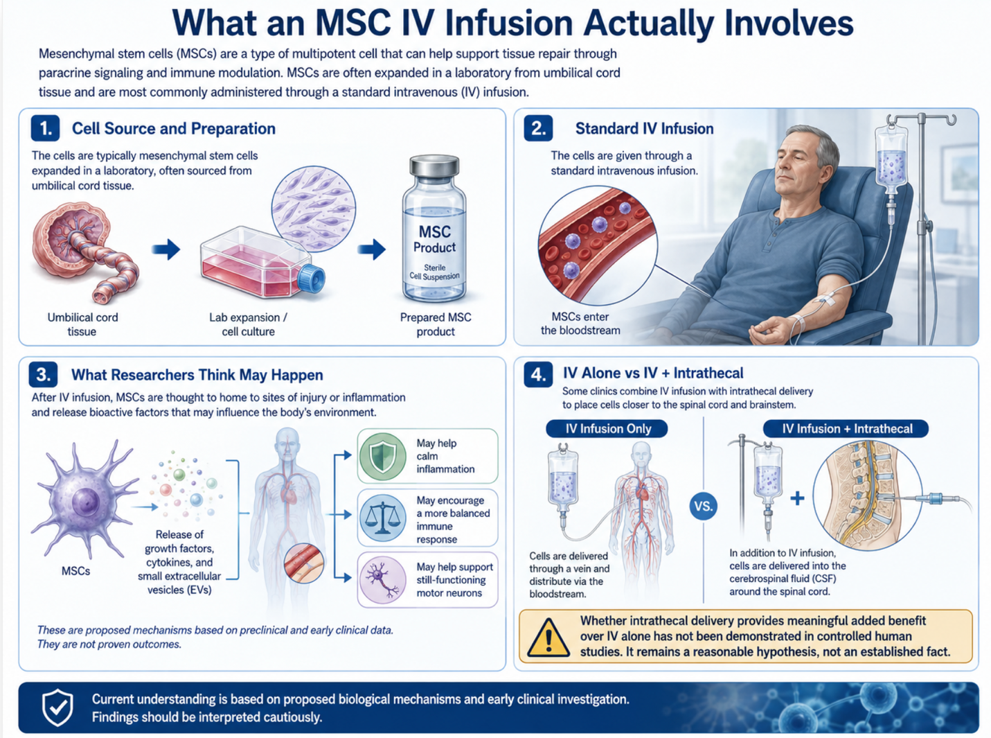 Figure 1: Cell Preparation, Intravenous Delivery, and Proposed Biological Effects of MSC Infusion