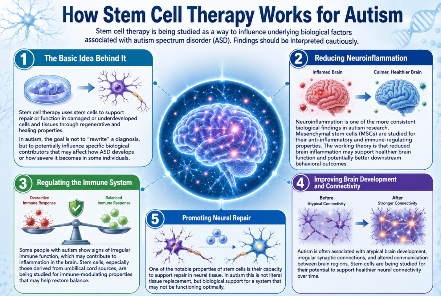 Figure 1: Proposed Biological Mechanisms Through Which Stem Cell Therapy May Influence Autism Spectrum Disorder