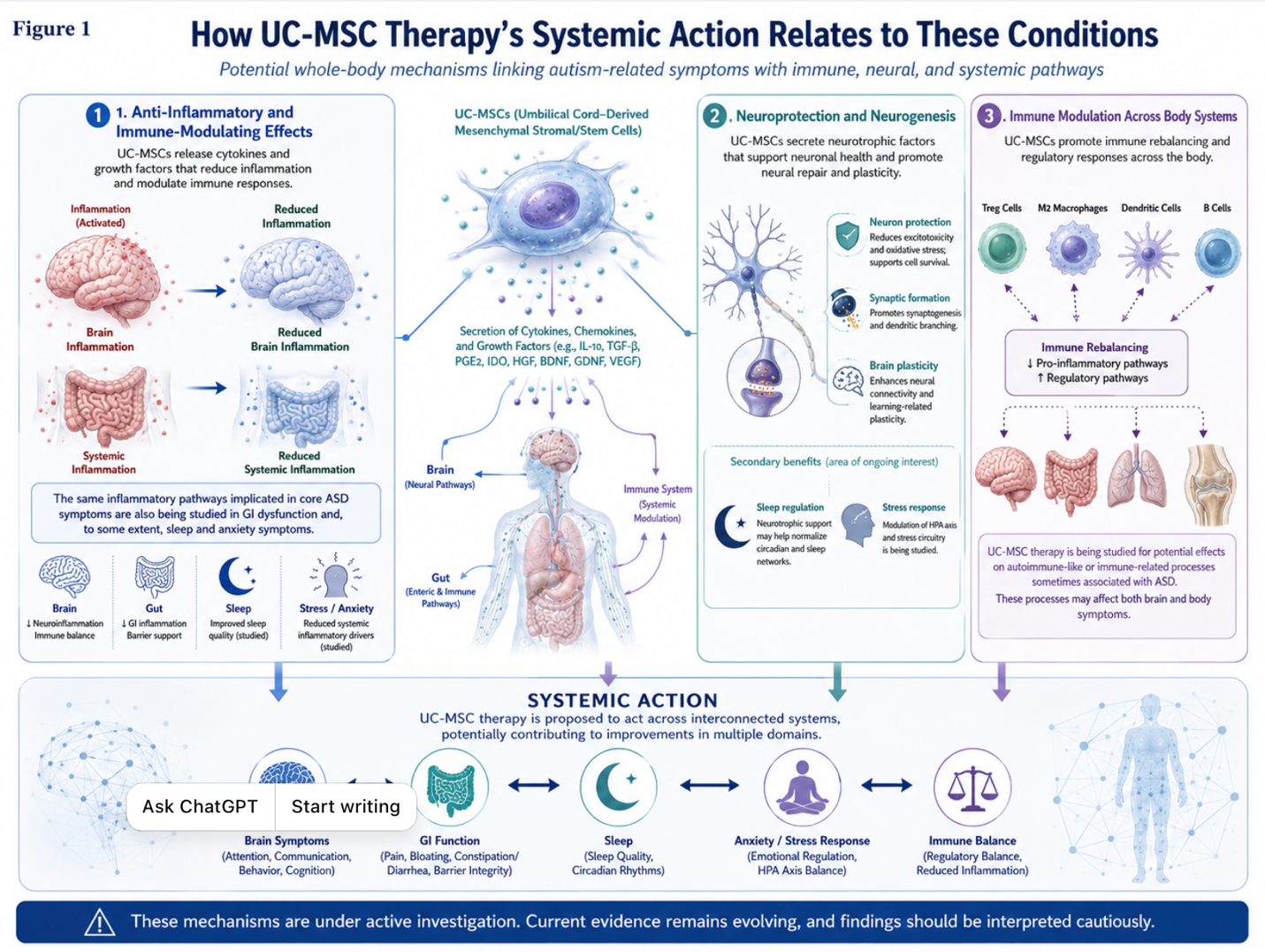 Figure 1: How the Systemic Actions of UC-MSC Therapy May Relate to Multiple Autism-Associated Conditions