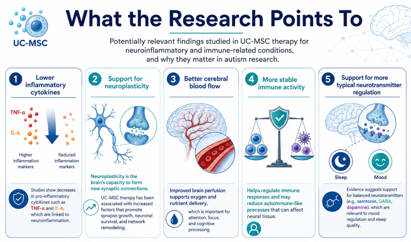 Figure 1: What Current Research Suggests About UC-MSC Therapy in Autism