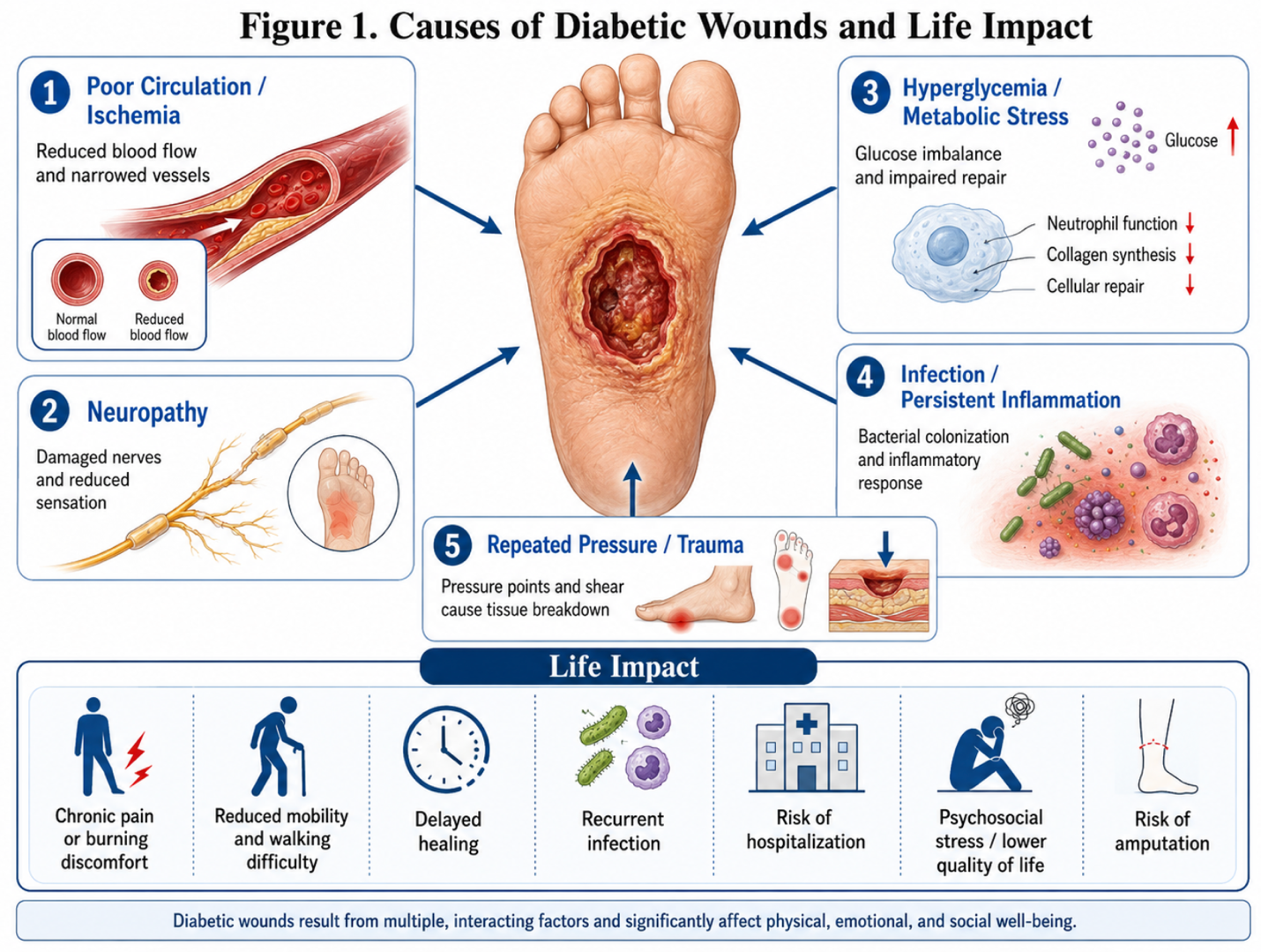 Figure 1: Causes of Diabetic Wound and life Impaction