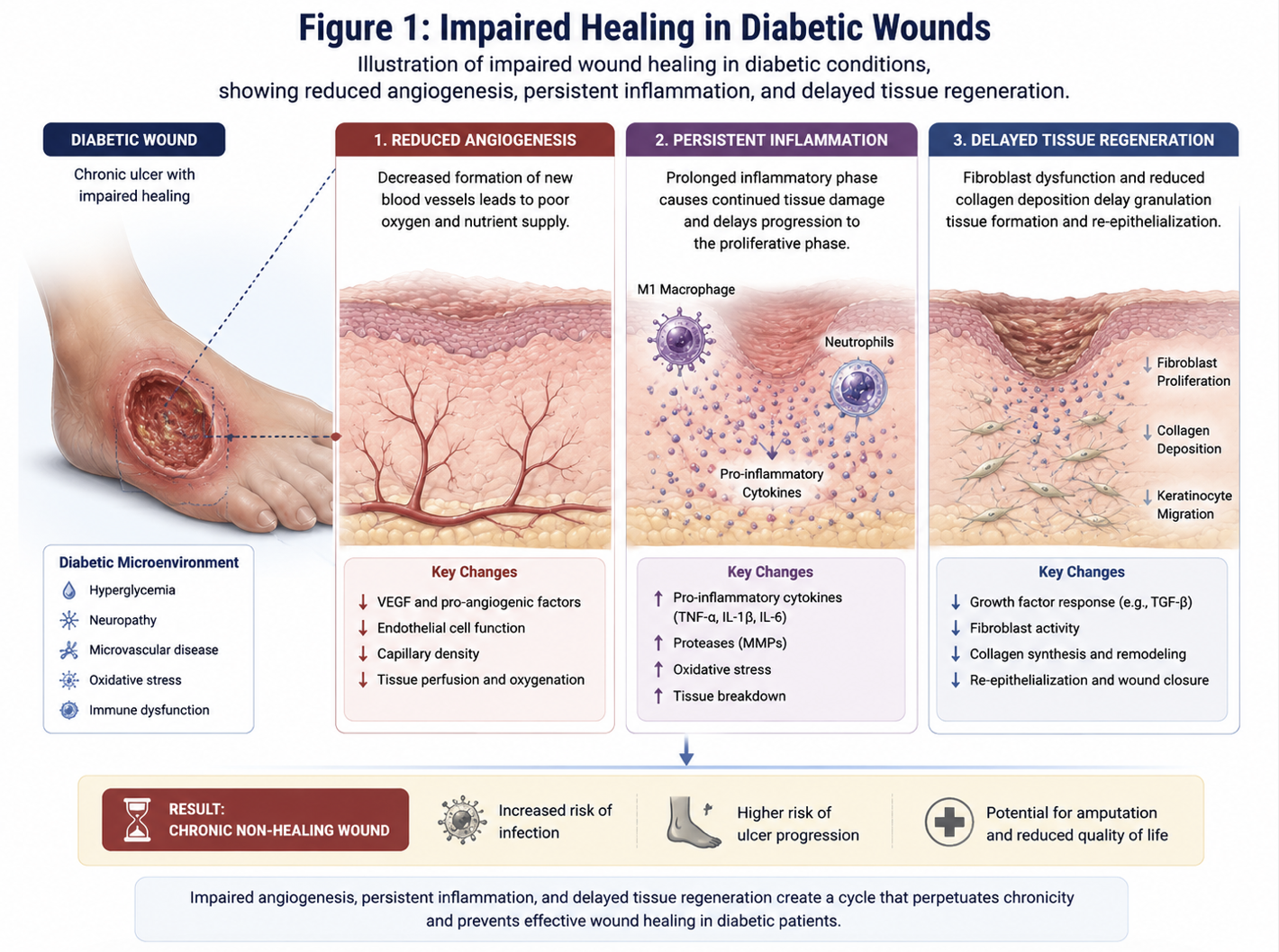 Figure 1: Impaired Healing in Diabetic Wounds Illustration of impaired wound healing in diabetic conditions, showing reduced angiogenesis, persistent inflammation, and delayed tissue regeneration.