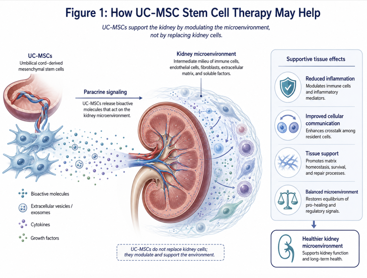 Figure 1: How UC-MSC Stem Cell Therapy May Help