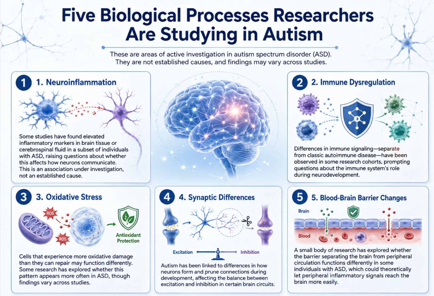 Figure 1: Five Biological Pathways Commonly Investigated in Autism Spectrum Disorder (ASD)