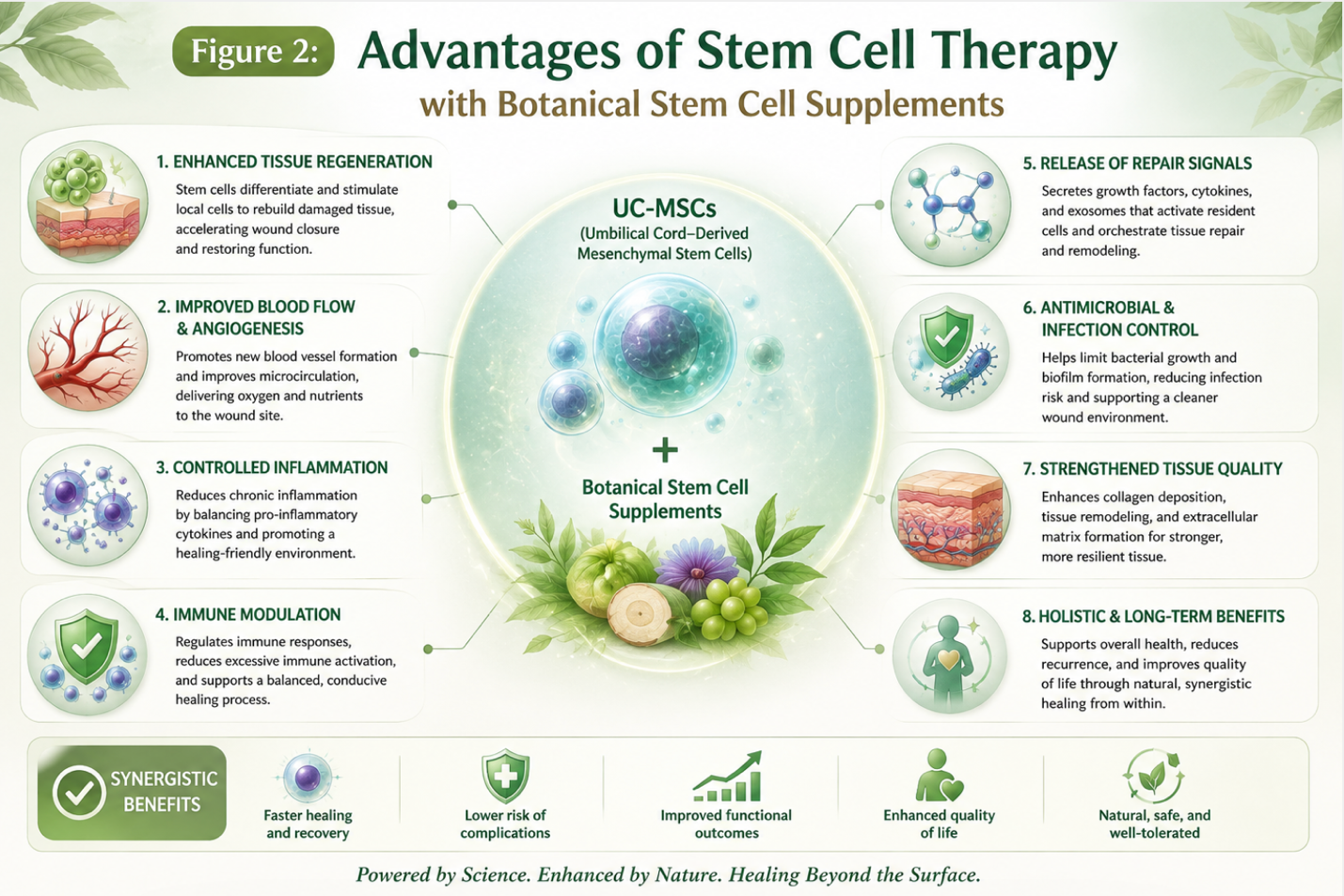 Figure 2: Advantages of stem cell therapy with Botanical Stem Cell Supplements