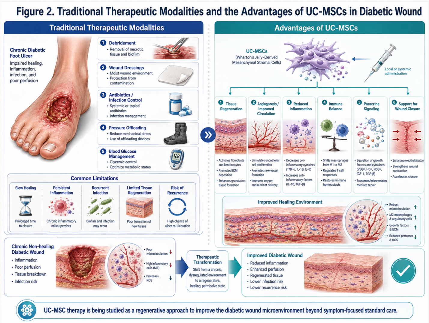 Figure 2: Traditional therapeutic modalities and the advantages of UC-MSCs in Diabetic Wound